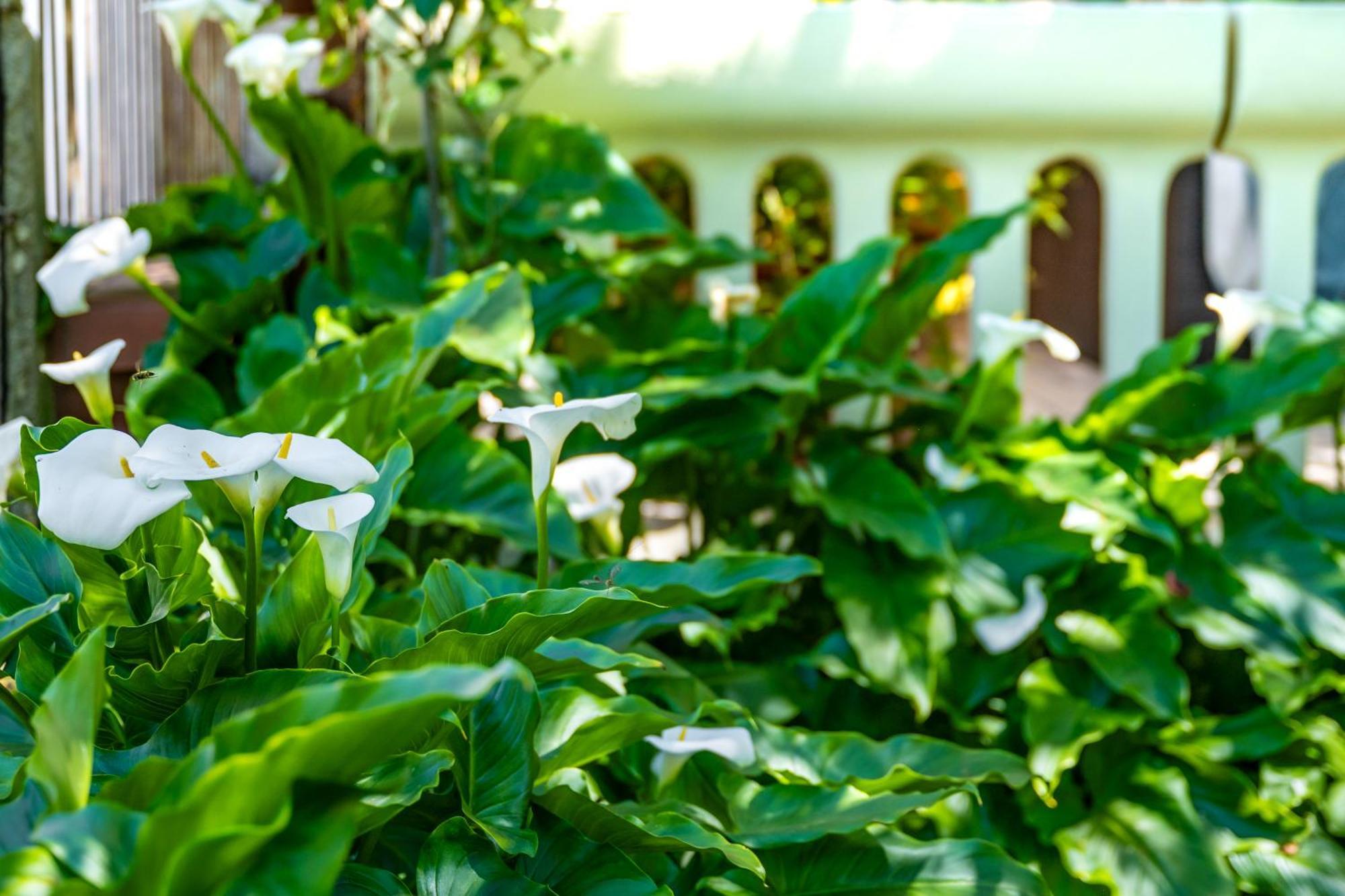 E-M Apartments With Private Pool ヴィンクラン エクステリア 写真